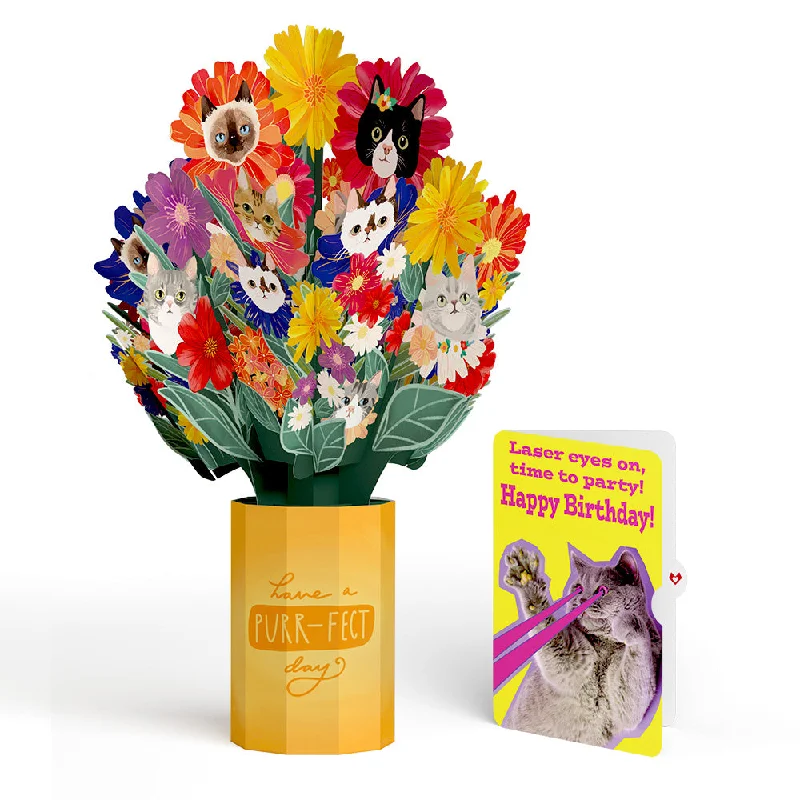 Purr-fect Cat Birthday Bouquet and Cat Laser Eyes Sentiment Set