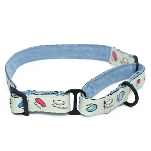 Harry Potter Every Flavour Bean Martingale Collar for Dogs