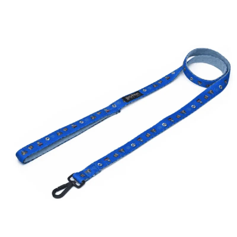 Harry Potter Welcome To Hogwarts Leash for Dogs